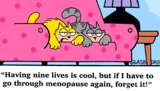 Illustration for article titled Tell me about menopause
